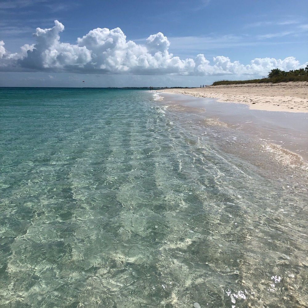 Meet your Posher, Maria